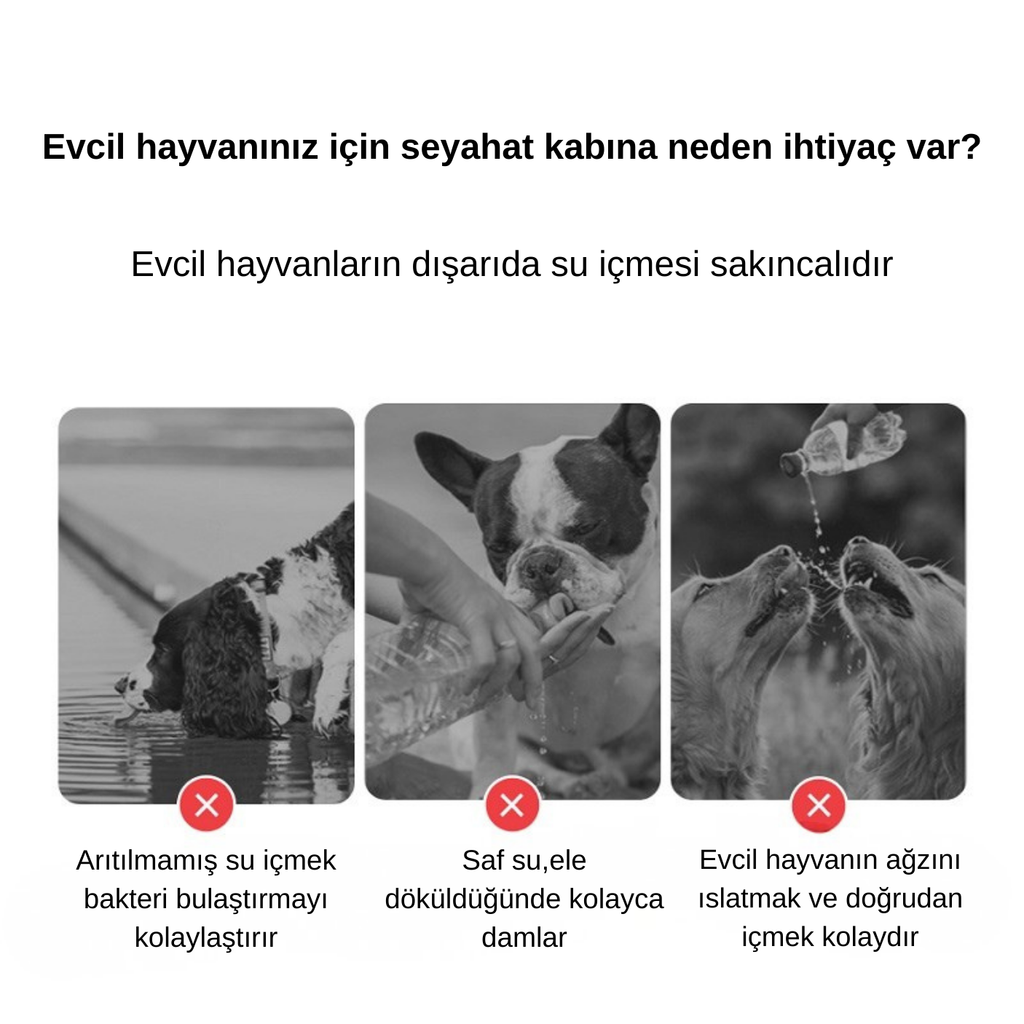 Taşınabilir Köpek Su Şişesi – Yürüyüş ve Seyahat İçin Sızdırmaz İçme Kabı (300–550 ml)
