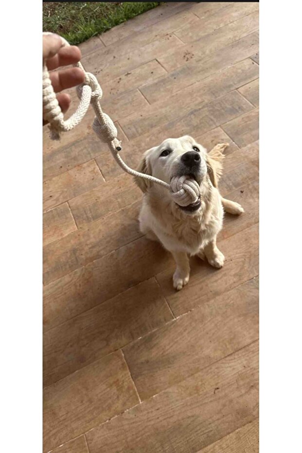 4’lü Hijyenik Köpek Oyun ve Diş Bakım Seti – Halat Çekme, Stres ve Temizlik Oyuncakları