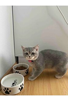 PatiCare™ Premium Seramik Mama & Su Kabı Seti (2’li)