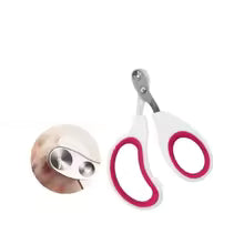 Evcil Hayvanlar İçin Güvenli Tırnak Makası – Kedi & Köpek