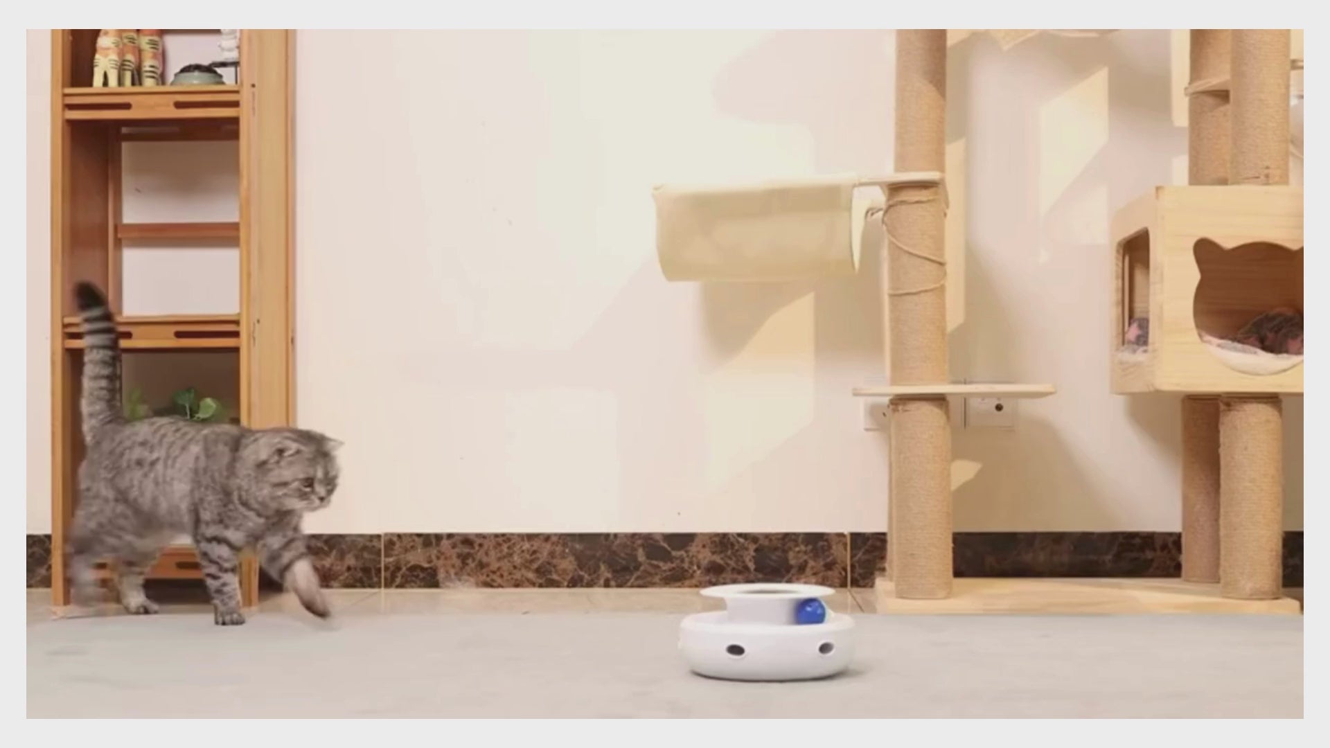 Akıllı Işıklı Kedi Oyuncağı – Otomatik Hareketli Eğlence Topu